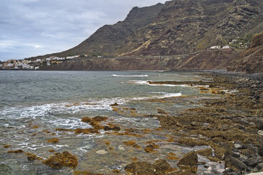 28 giugno Bajamar - Punta del Hidalgo